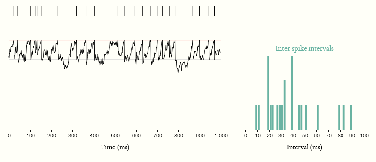 Balanced excitation and inhibition