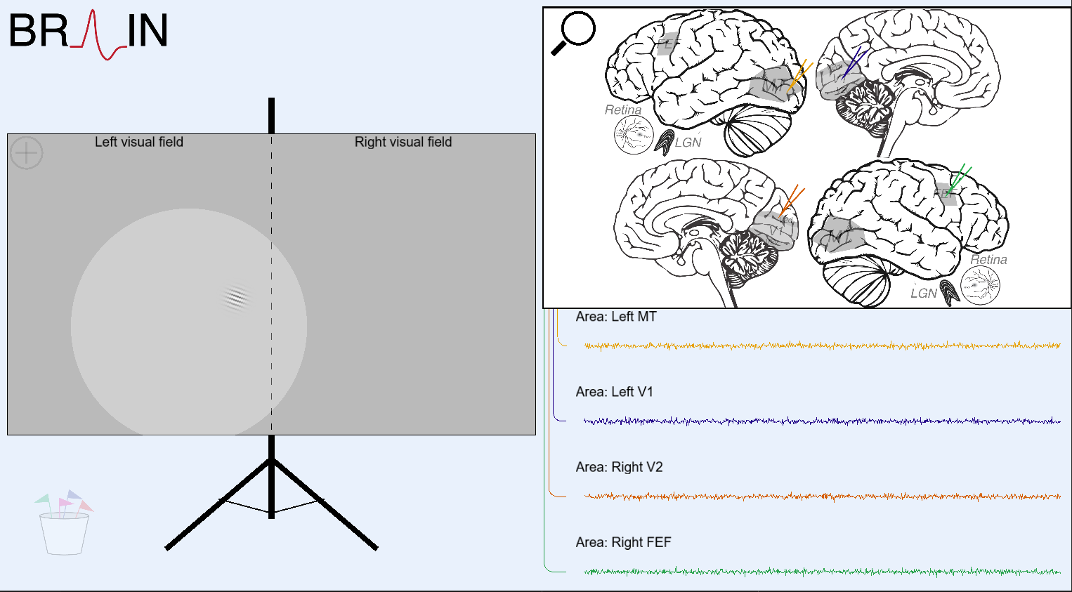 Visual brain simulator